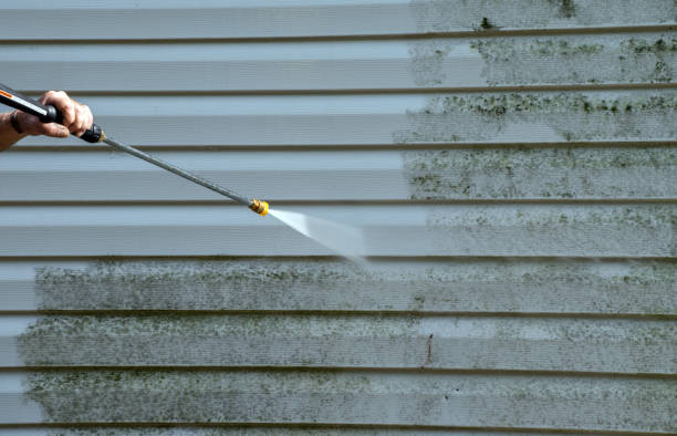Best Mold Damage Repair  in North Lynnwood, WA