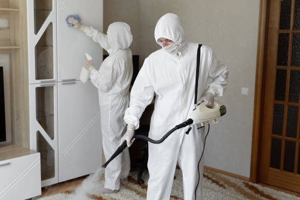 Crawl Space Mold Removal in North Lynnwood, WA